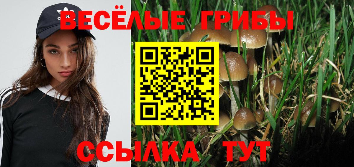Псилоцибиновые грибы Magic Shrooms  Вход с VPN  Галлюциногенные грибы Psilocybe  Нефтеюганск 